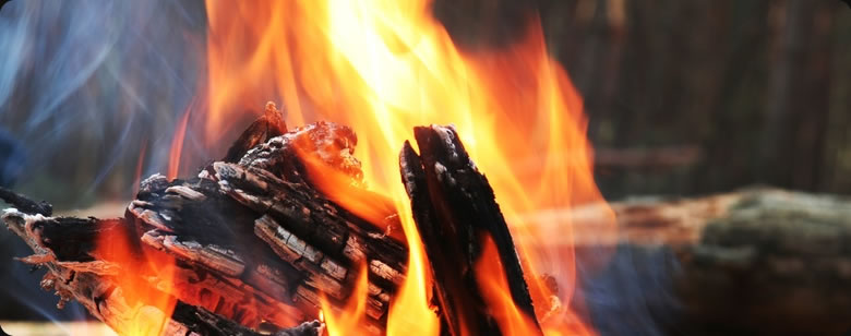 Learn Bushcraft